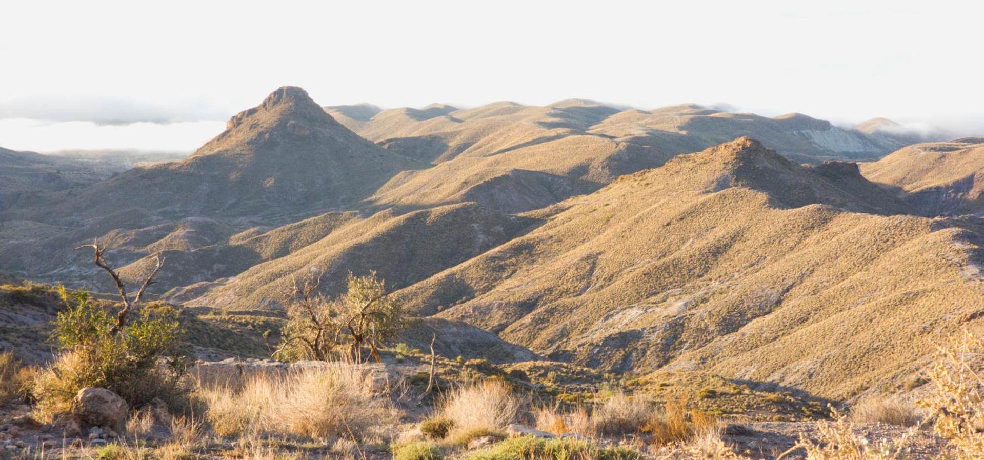 Cortijo El Albaricoque De La Sierra - Finca De 75 Hectareas ! Níjar Buitenkant foto